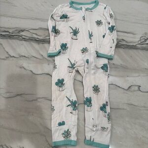 Kickee succulents 6-12 mo